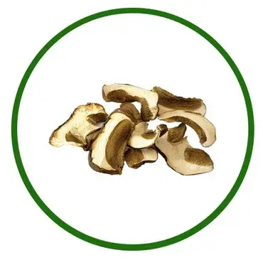 Funghi Secchi Chileno